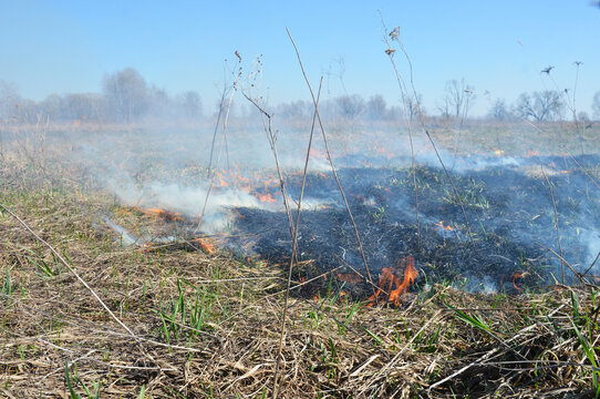 Grass Fire Burning Vegetation Amid Climate Change