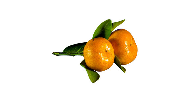 Two ripe mandarins with green leaves on white background citrus fruits ripe fruit summer fruit organic fruit raw food vitamin c isolated on white sweet fruit nutrition plant based
