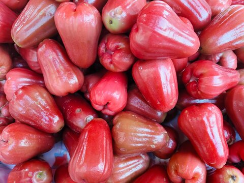 A close-up, top-down photograph showing a large, vibrant heap of fresh, ripe rose apple (jambu air) fruits, showcasing their glossy, deep pink skin texture.
