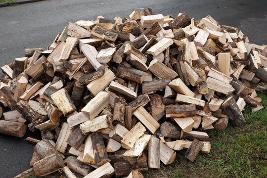 Large Pile of Chopped Firewood Logs Ready for Storage or Winter