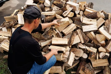 Young Man Carrying Firewood to Storage, Preparing for Winter © Maksims