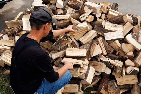 Young Man Carrying Firewood to Storage, Preparing for Winter
