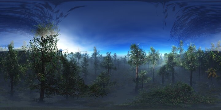 Trees in the fog. Environment map. HDRI map. equidistant projection. Spherical panorama. landscape
3D rendering