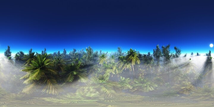Trees in the fog. Environment map. HDRI map. equidistant projection. Spherical panorama. landscape
3D rendering