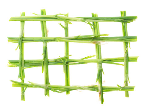 Fresh green grass grid isolated on a transparent background a natural organic woven lattice design element for eco friendly themes and sustainable concepts vibrant structure meticulously