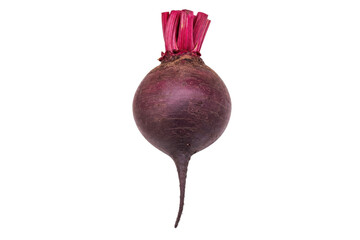 Single fresh organic beetroot with vibrant red stems stands upright on a clean white background, showcasing its natural texture © Chinases