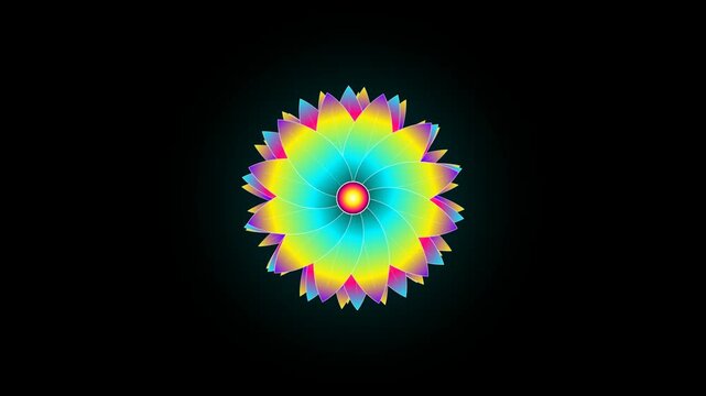 Abstract colorful flower mandala pattern on black background