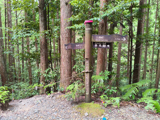 Obraz premium Round Wooden Junction Directional Signpost on Nakahechi Kumano Kodo Pilgrimage, Wakayama - August 2026