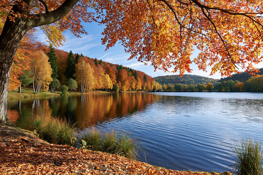 Autumn leaves glow gold above calm lake waters. Tree branches frame the scene, casting gentle shadows. Ripples brush the surface, mirroring distant hills. Fallen leaves carpet the shore