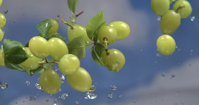 Grapes with leaves and water splashes floating in the air in super slow motion