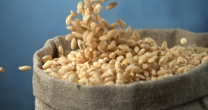 Pearl barley grains falling into burlap sack in super slow motion