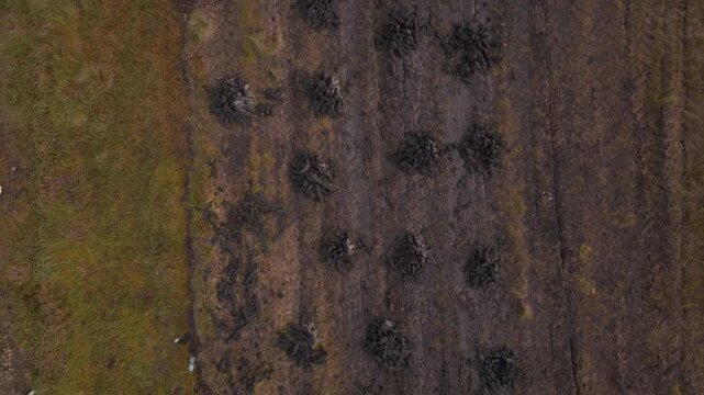 A minimalist aerial perspective of traditional turf stacks drying on a dark peat bog. Suitable for content about sustainability, rural energy, and Irish heritage.