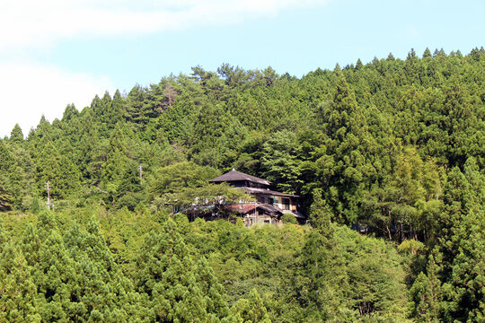 Traditional Wooden Kominka Building and Dense Forested Mountain Slope along the Nakahechi Route, Tanabe July 2026