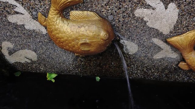 Golden fish statue fountain spouting water into a dark pool, mounted on a textured pebble and stone wall with white abstract wave-like relief patterns