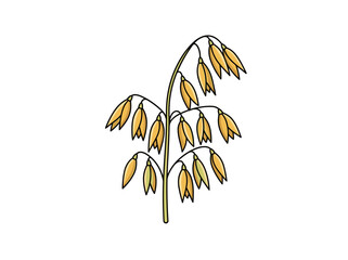 Obraz premium Flat vector illustration of single oat ear cereal plant icon isolated on white background, health food ingredient