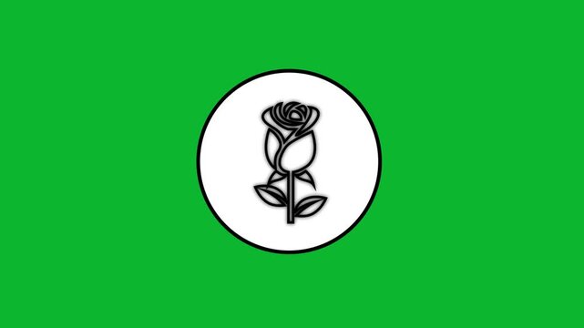 Animated black line rose logo appears inside white circle on green background animation.