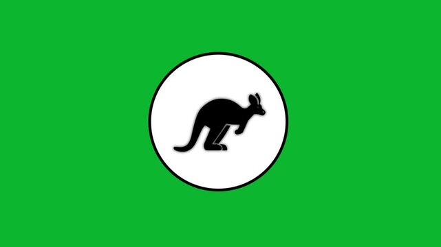 Black kangaroo silhouette icon appearing in white circle over green screen background for video transition.