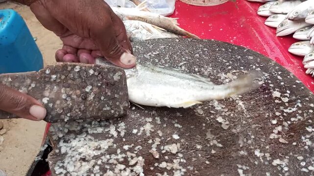 Fish Scaling Seafood Preparation and Market Processing Concept