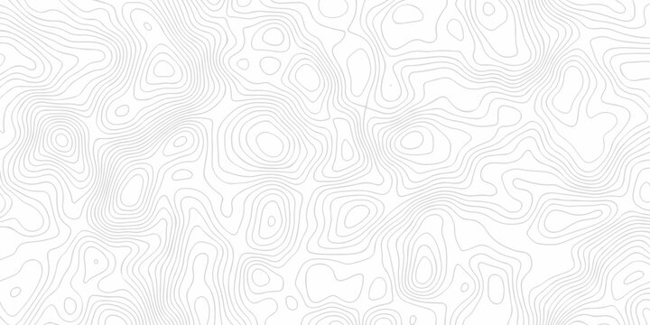 Abstract minimal pattern discovery topo map creative discovery White wave grid stripe line map topography. vector geographic contour mounted map background.
