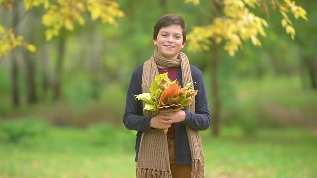 Smiling young boy holding a beautiful bouquet of colorful fallen leaves in autumn park. Close-up portrait of a happy kid with golden fall foliage
