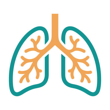 Minimalist vector illustration of human lungs with bronchial tree structure for medical and healthcare educational design projects