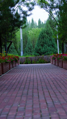 Obraz premium Brick Pathway Through a Lush Park Garden