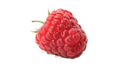 Single fresh ripe red raspberry berry crop isolated on transparent background © Leo