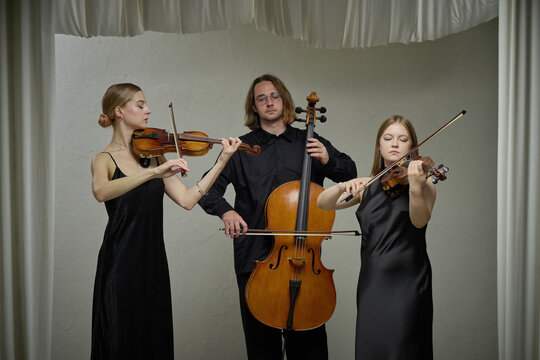 Caucasian young adult musicians playing violins and cello together during classical music rehearsal. Image suitable for concert advertising, musical education campaigns