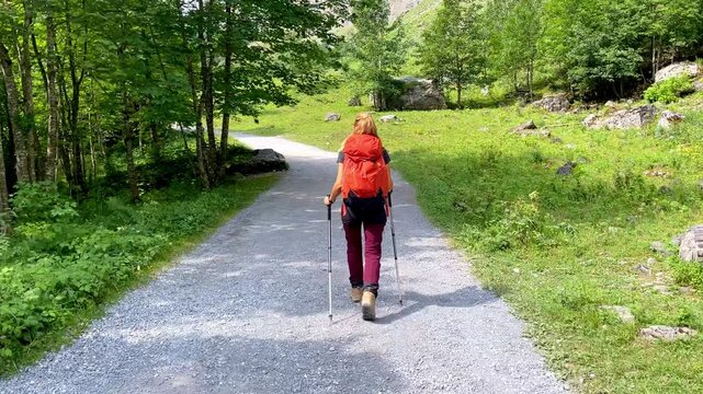 Female Hiker with Orange Backpack and Trekking Poles Walking on Forest Path