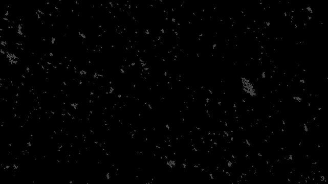 Black background with subtle grey dust and noise texture overlay