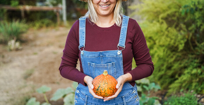 Young female farmer holding organic pumpkins with hands inside vegetable garden - Woman working outdoor during fall season - Autumn lifestyle concept - Main focus on fruitvegetables - UGC content