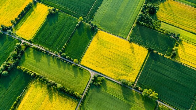 Top Down Drone View of Geometric Patchwork Agricultural Fields with Various Crop Colors