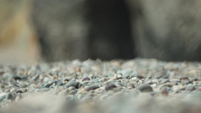 Marine gravel bed captures shifting coastal sediments on a shoreline. Extreme close-up shot focusing on the details of smooth, wet river stones.