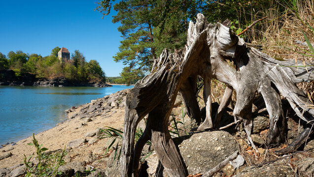 Weathered tree roots on the shore of Lake Ottenstein with Lichtenfels castle ruin in Waldviertel Austria