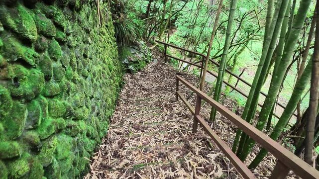 Moss covered stone wall and railing path with bamboo in rural Japan