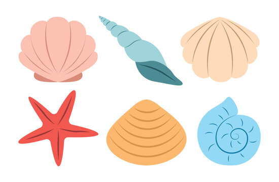 Set of beautiful sea shells, mollusks in cartoon style. Vector illustration of bivalve, spiral snail shells, conical shell, five-rayed starfish in pastel colors isolated on a white background.