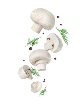 Champignons with allspice and dill close-up isolated on a white background