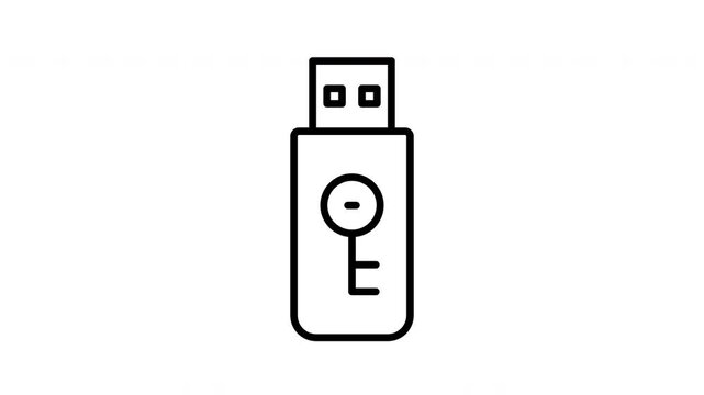 Animation black white line art graphic flash drive symbol digital security key icon.