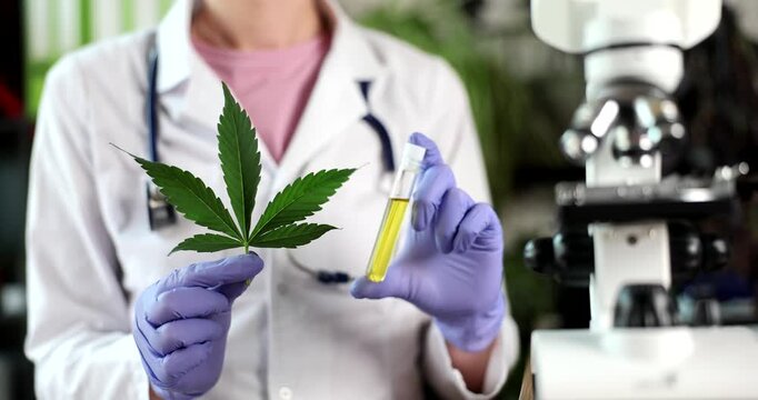 In a bright laboratory, a scientist with gloves holds a cannabis leaf and a test tube. This setting highlights the ongoing research and potential benefits of cannabis.