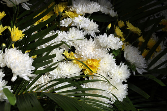White and yellow chrysanthemums arranged with palm leaves.