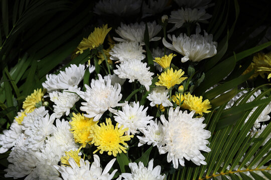 White and yellow chrysanthemums arranged with palm leaves.