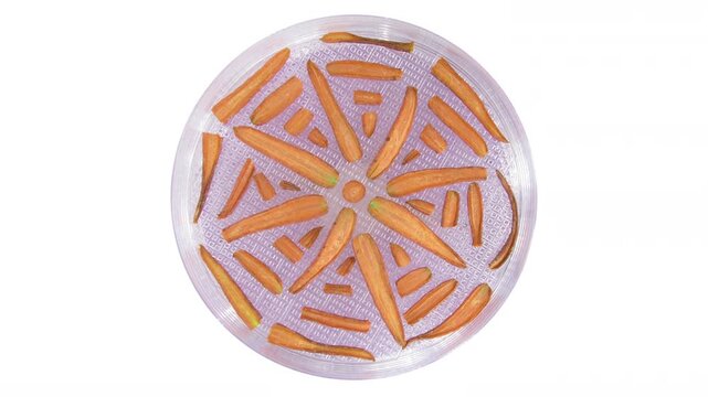4K time lapse of carrot slices expanding from dried to fresh size, then dehydrating and shrinking in a rotating food dehydrator on a white background.