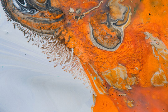 Abstract fluid art background with orange, white and black acrylic paint mixing in tree like patterns.