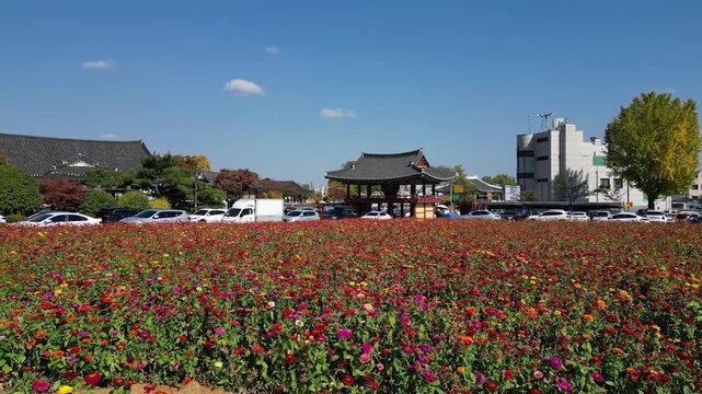 나주 금성관 나주목관아 목사내아 정수루 백일홍 꽃밭 한옥 풍경 문화재 전통건축 한국전통 역사유적 도시전경 시가지 마을 동네 지붕 한옥 기와집 전통 역사 유적지 관아 관광지 여행 대한민국 전경 도시 건축 문화유산 역사건축 고건축 하늘 구름 도로 주택가 한옥지붕 옛길 명소