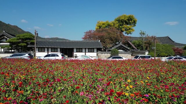 나주 금성관 나주목관아 목사내아 정수루 백일홍 꽃밭 한옥 풍경 문화재 전통건축 한국전통 역사유적 도시전경 시가지 마을 동네 지붕 한옥 기와집 전통 역사 유적지 관아 관광지 여행 대한민국 전경 도시 건축 문화유산 역사건축 고건축 하늘 구름 도로 주택가 한옥지붕 옛길 명소