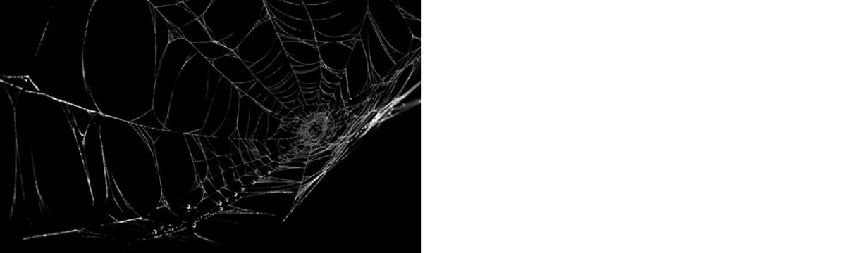 Spider web overlay with black preview and transparent background version for Halloween layouts, horror graphics, posters and digital compositions.