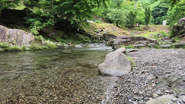 苔むした岩壁の下に広がる、東京都檜原村の清流と砂利の河原