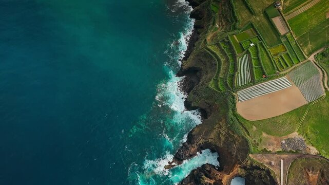 Top down aerial view of cultivated fields above volcanic Atlantic coast on Sao Miguel Island, Azores. Coastal agriculture and rural land use near ocean cliffs