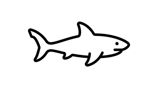 shark vector illustration