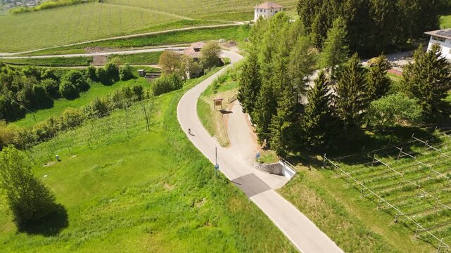 Aerial drone view of a lone cyclist riding along a winding asphalt country road through green fields in Premione, Trento, Italy. Outdoor sports and travel.
